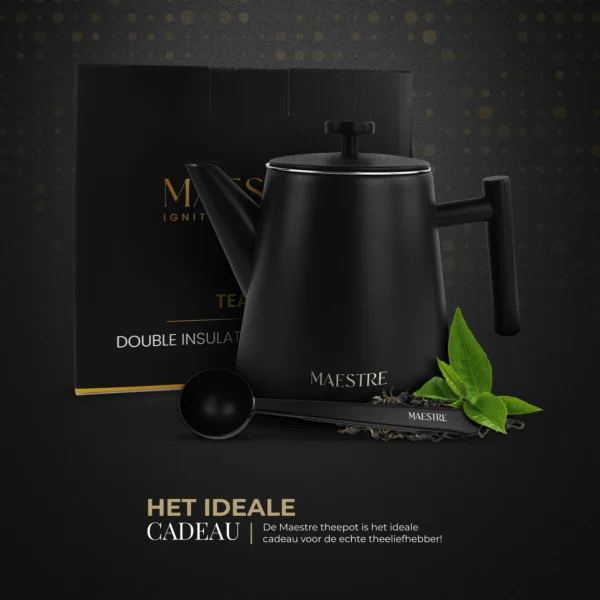 Theepot met filter dubbelwandig Cadeau