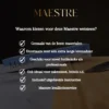 Wetsteen 240 800 Maestre